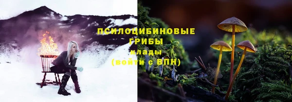 эйфоретик Алексин