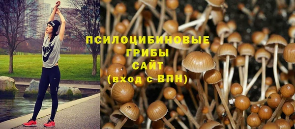 2c-b Алзамай