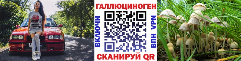 Псилоцибиновые грибы ЛСД  Игра 