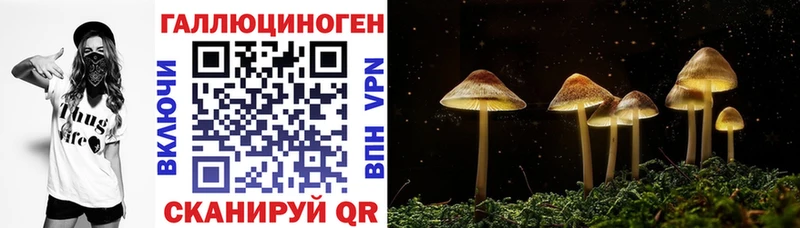 Галлюциногенные грибы Psilocybe Игра